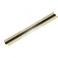 MALE RIGHT1*40